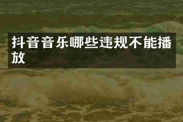 抖音音乐哪些违规不能播放