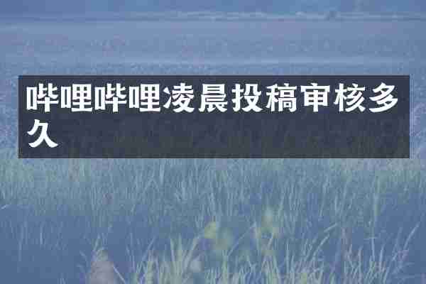 哔哩哔哩凌晨投稿审核多久