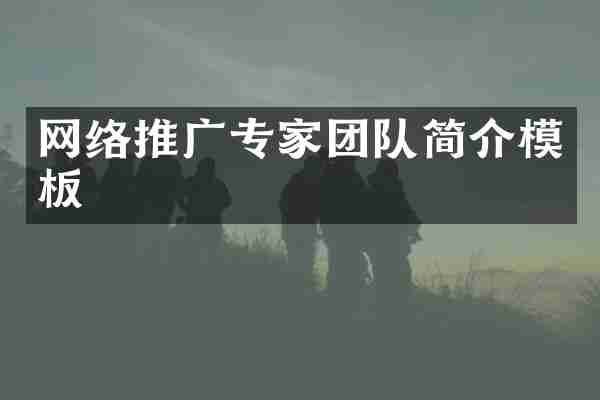网络推广专家团队简介模板