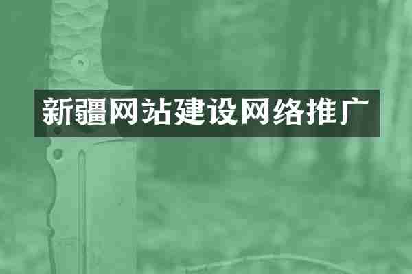 新疆网站建设网络推广