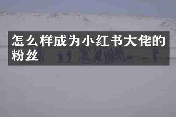 怎么样成为小红书大佬的粉丝