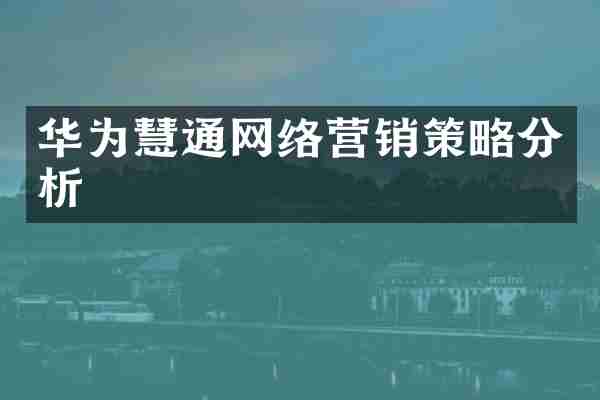 华为慧通网络营销策略分析