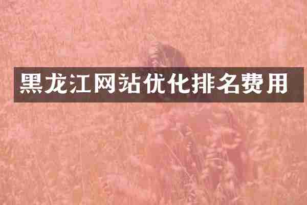 黑龙江网站优化排名费用