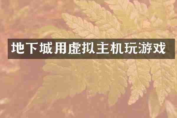 地下城用虚拟主机玩游戏