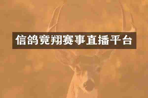 信鸽竟翔赛事直播平台