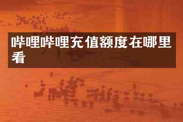 哔哩哔哩充值额度在哪里看
