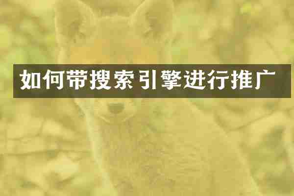 如何带搜索引擎进行推广