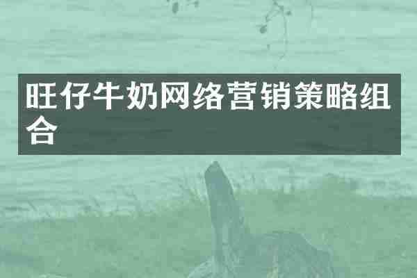旺仔牛奶网络营销策略组合