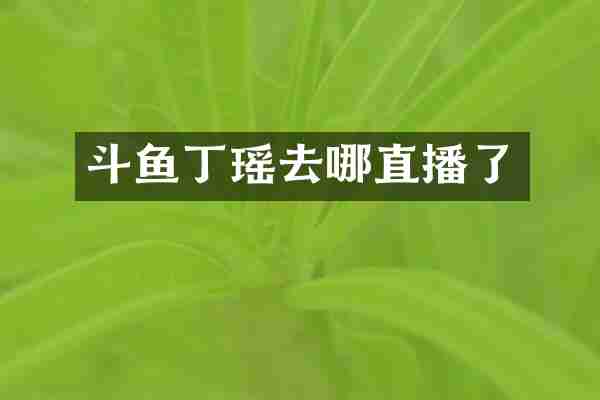 斗鱼丁瑶去哪直播了