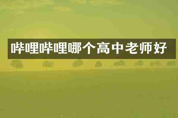哔哩哔哩哪个高中老师好