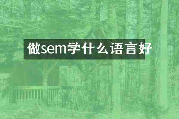做sem学什么语言好