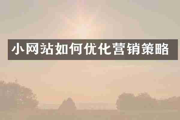 小网站如何优化营销策略