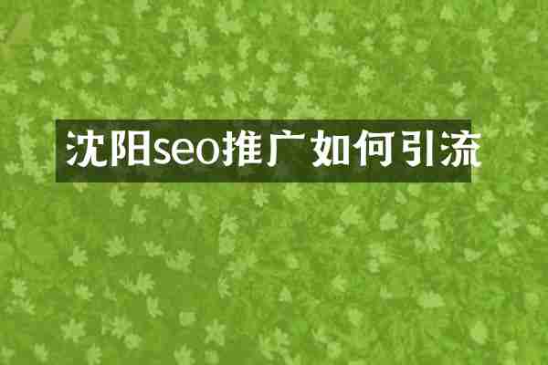 沈阳seo推广如何引流