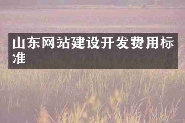 山东网站建设开发费用标准