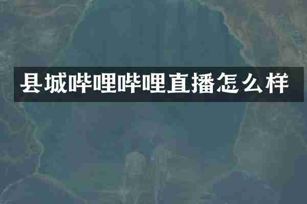 县城哔哩哔哩直播怎么样