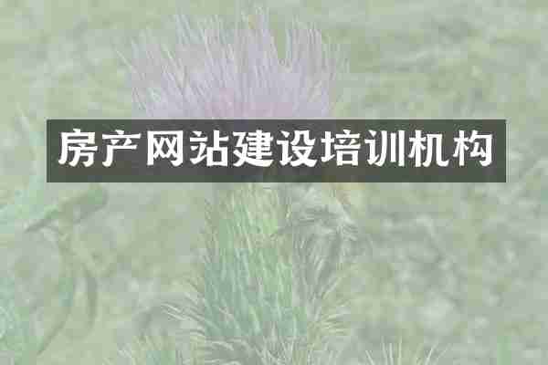 房产网站建设培训机构