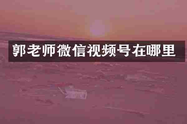 郭老师微信视频号在哪里