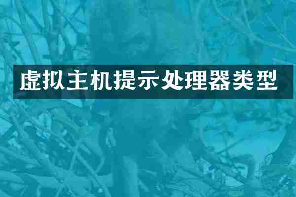 虚拟主机提示处理器类型