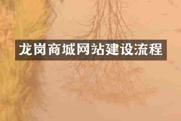 龙岗商城网站建设流程