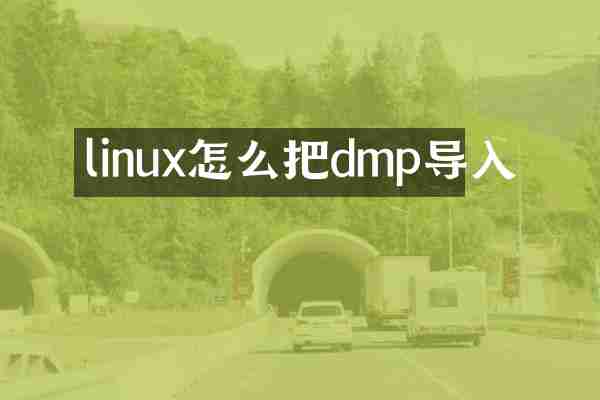 linux怎么把dmp导入