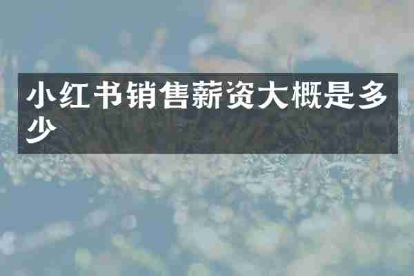 小红书销售薪资大概是多少