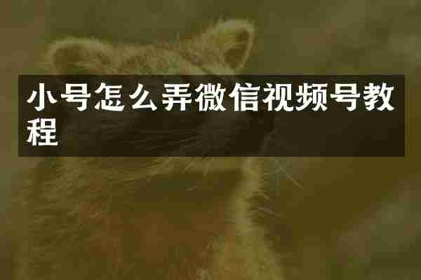 小号怎么弄微信视频号教程