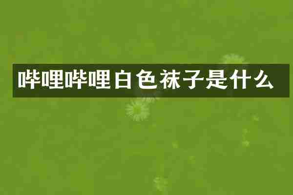 哔哩哔哩白色袜子是什么