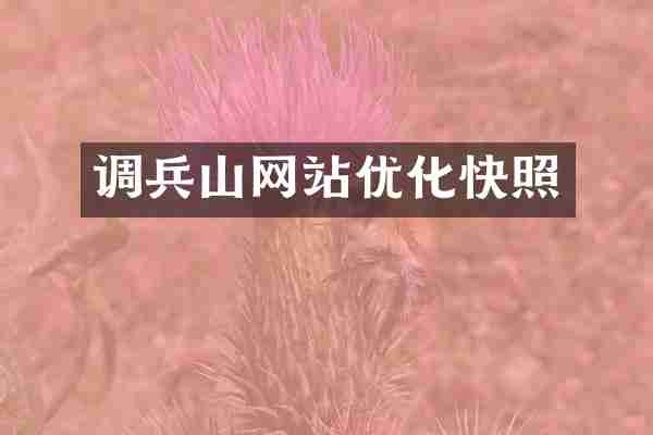 调兵山网站优化快照