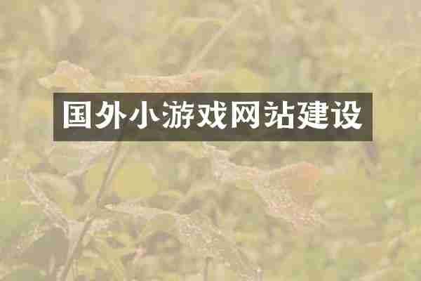 国外小游戏网站建设