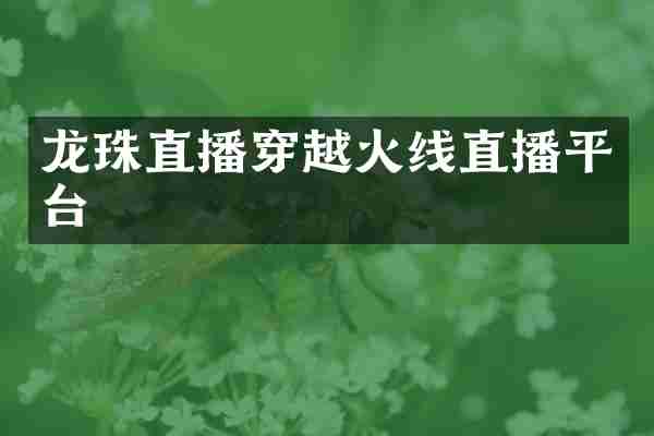 龙珠直播穿越火线直播平台