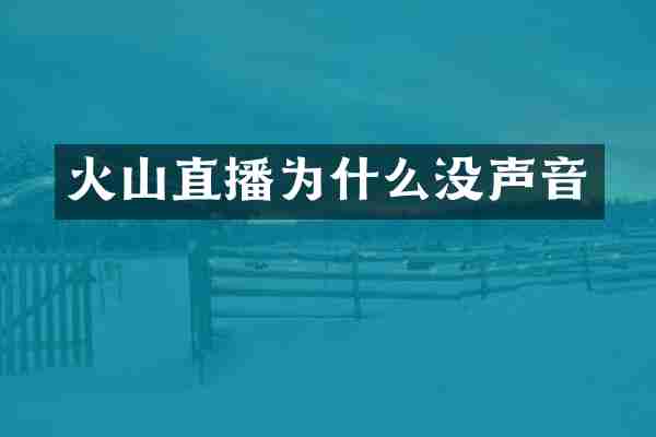 火山直播为什么没声音