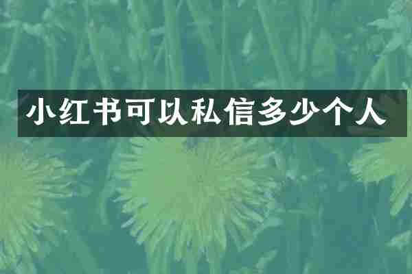 小红书可以私信多少个人