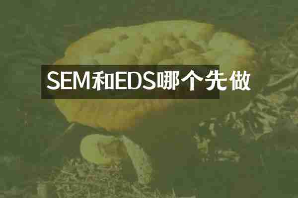 SEM和EDS哪个先做