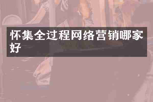 怀集全过程网络营销哪家好