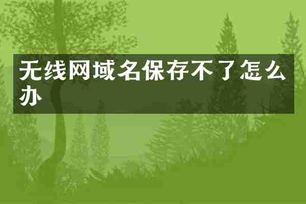 无线网域名保存不了怎么办