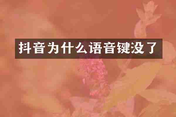 抖音为什么语音键没了