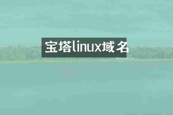 宝塔linux域名