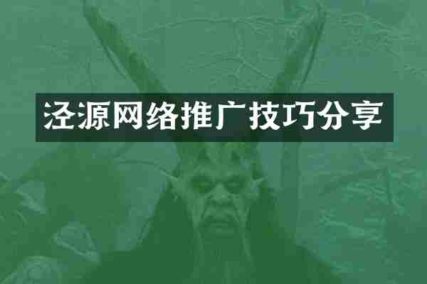泾源网络推广技巧分享