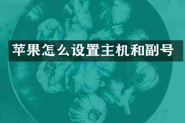 苹果怎么设置主机和副号