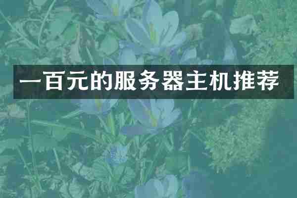 一百元的服务器主机推荐