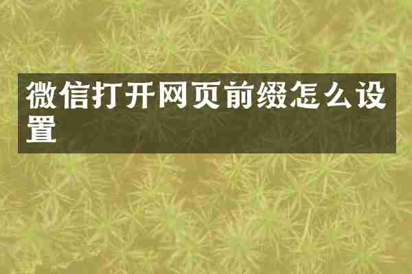微信打开网页前缀怎么设置