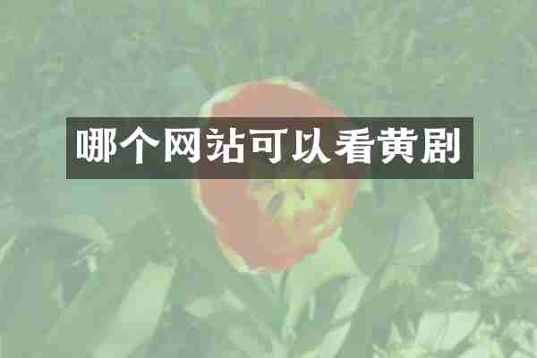 哪个网站可以看黄剧