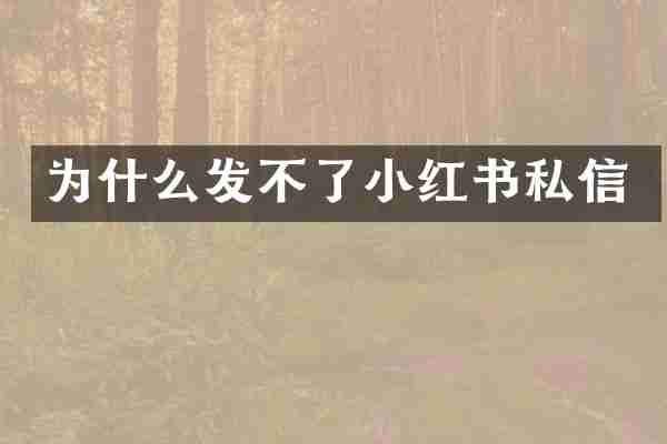 为什么发不了小红书私信
