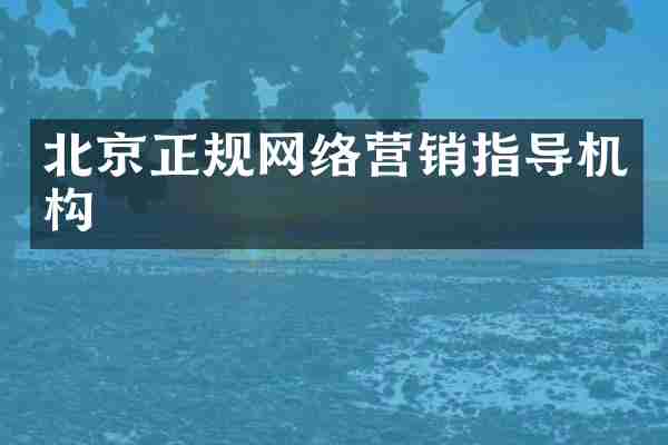 北京正规网络营销指导机构