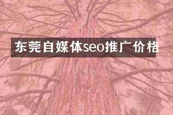 东莞自媒体seo推广价格