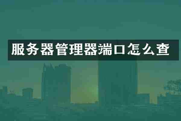 服务器管理器端口怎么查
