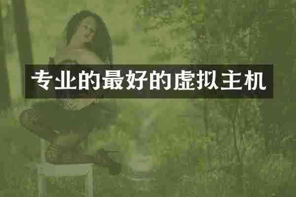 专业的最好的虚拟主机