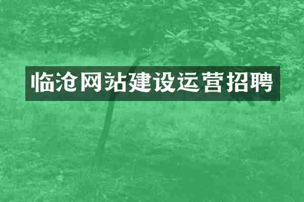 临沧网站建设运营招聘