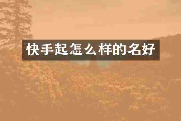 快手起怎么样的名好