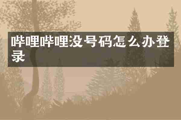 哔哩哔哩没号码怎么办登录